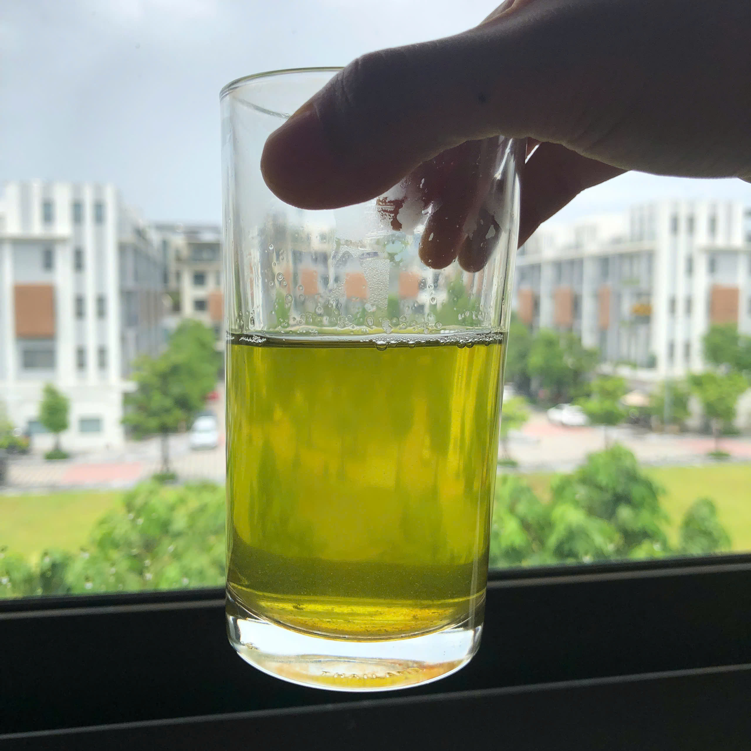 PREMIUM VIETNAMESE ORGANIC PEKOE GREEN TEA – 100% NATURAL – CERTIFIED WHOLESALE EXPORT 2