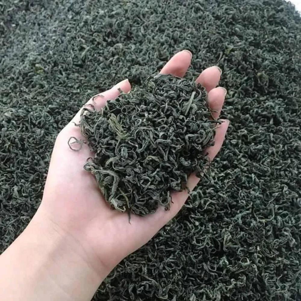 PREMIUM VIETNAMESE ORGANIC GREEN TEA – LOOSE-LEAF – OEM PRIVATE LABEL EXPORT SUPPLY 4