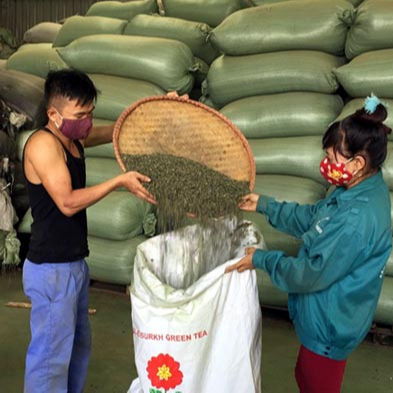 AFFORDABLE VIETNAMESE GREEN TEA – COMPETITIVE WHOLESALE PRICES – BULK EXPORT SUPPLY 2