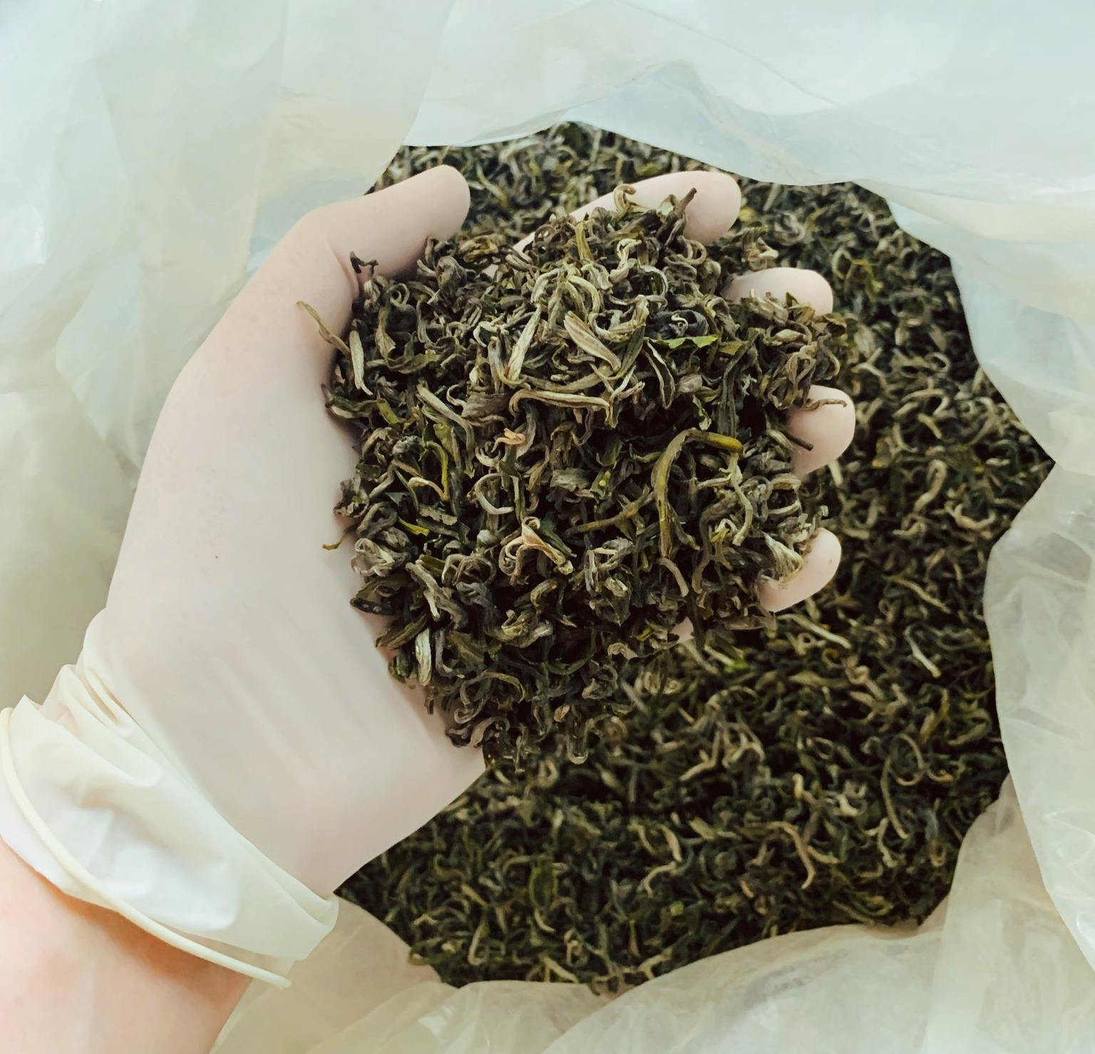 PREMIUM VIETNAMESE SNOW MOUNTAIN TEA – 100% NATURAL ORIGIN – NON-GMO – HIGH-QUALITY EXPORT SUPPLY 4