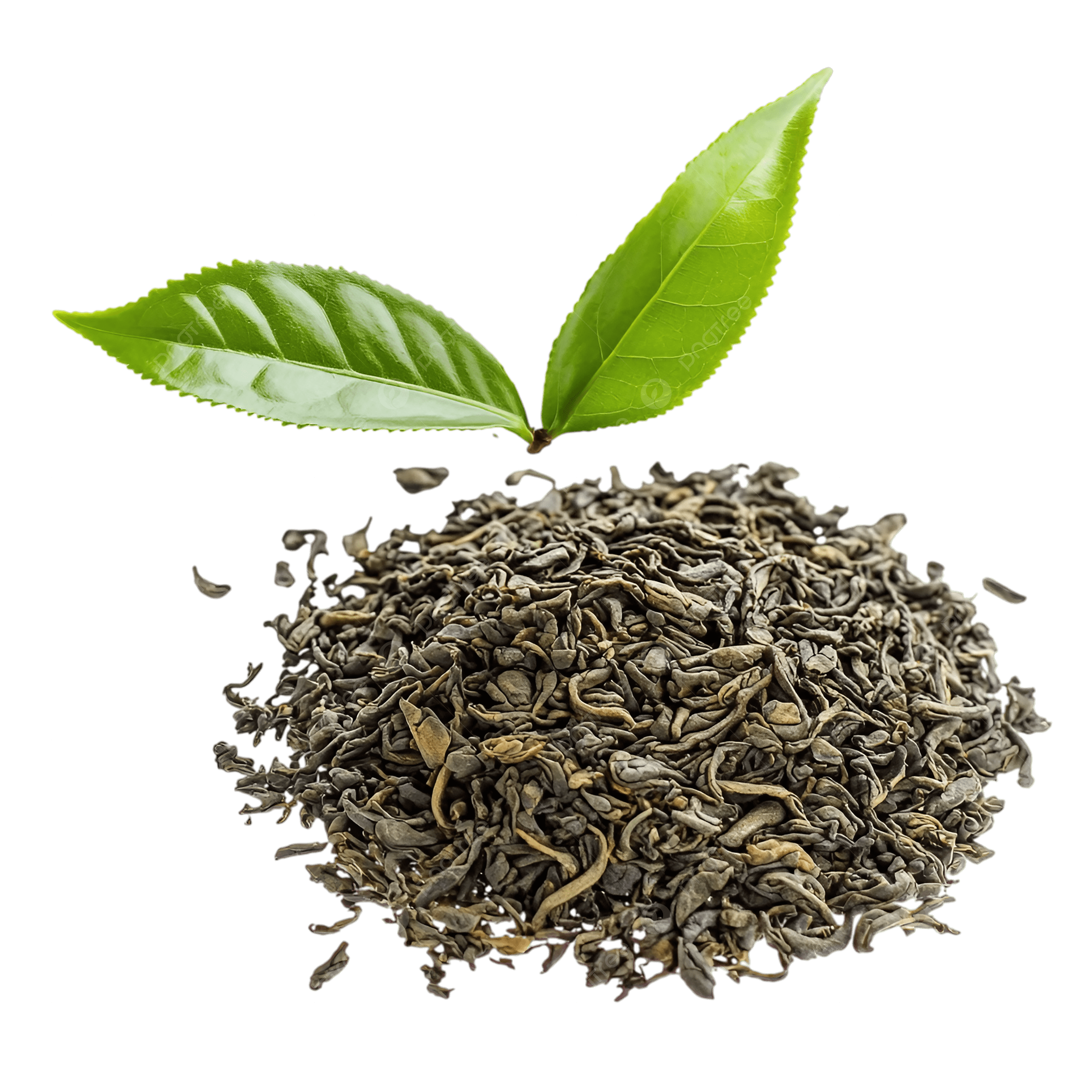 PREMIUM VIETNAMESE SON LA GREEN TEA – LOOSE-LEAF TEA – NATURAL FLAVOR – OEM/ODM – RETAIL AND EXPORT SUPPLY 4