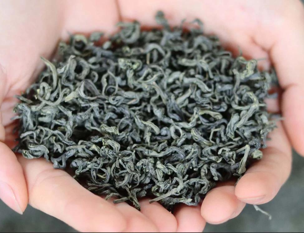 PREMIUM VIETNAMESE GREEN TEA AND BLACK TEA – FRESH OR DRIED TEA LEAVES – BULK WHOLESALE EXPORT SUPPLY 4