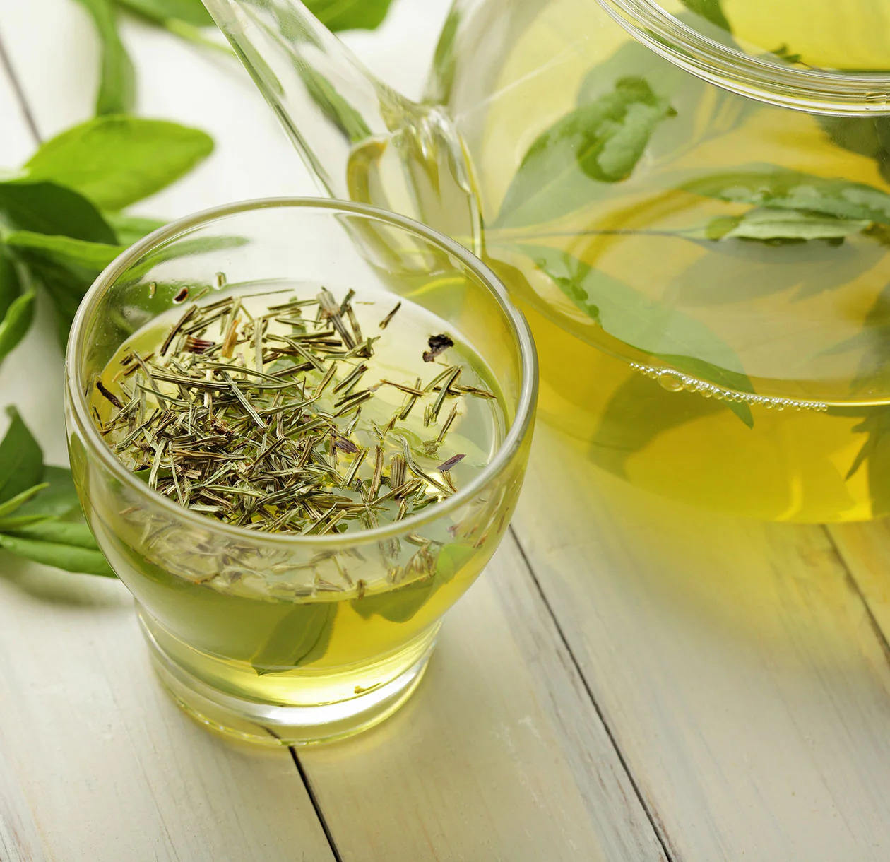 PREMIUM VIETNAMESE LOOSE-LEAF GREEN TEA – OEM/ODM AND PRIVATE LABEL SOLUTIONS – B2B EXPORT SUPPLY