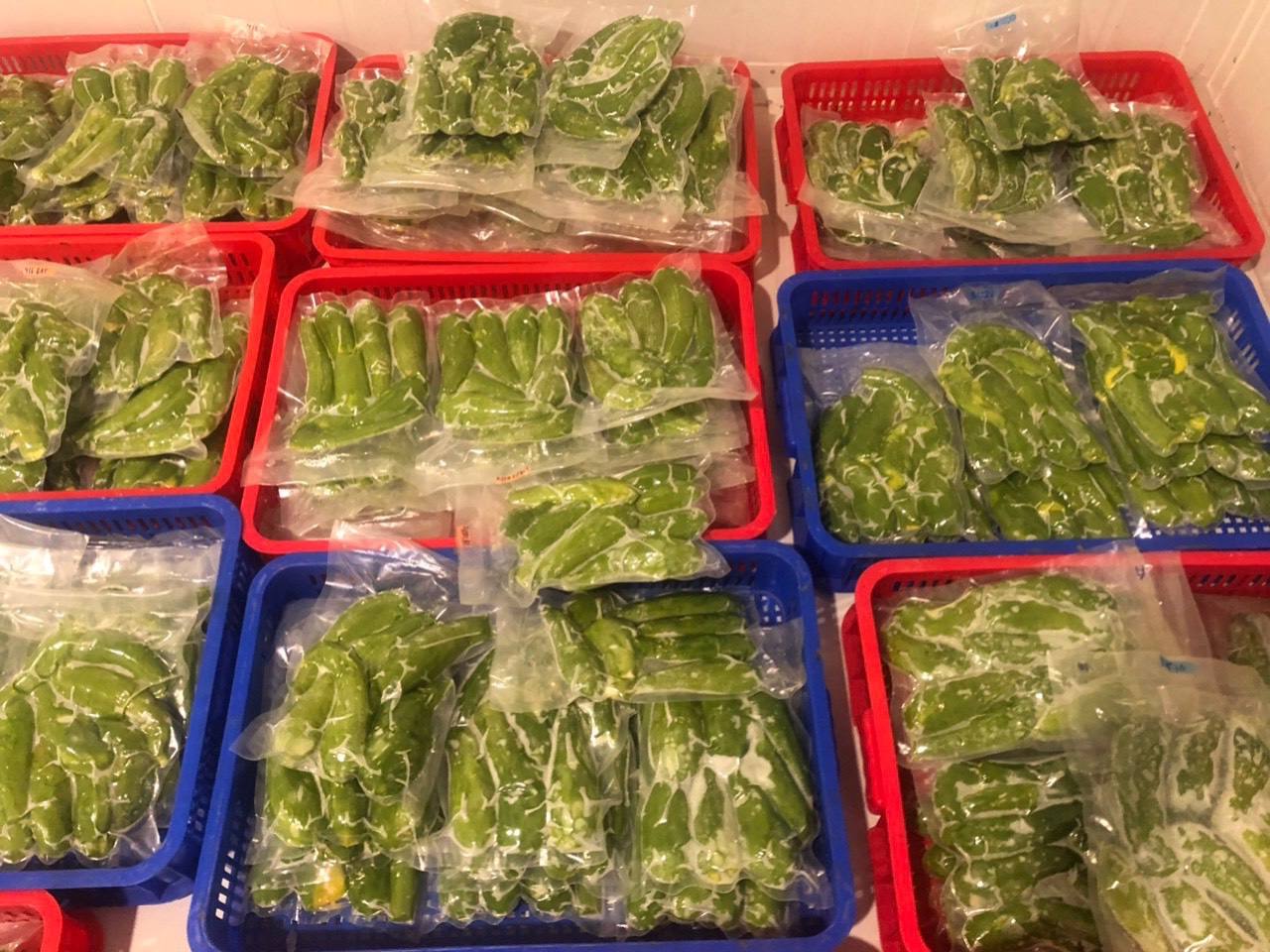PREMIUM VIETNAMESE IQF FROZEN AVOCADO – WHOLESALE BULK SUPPLY – CUSTOM ORDERS – B2B EXPORT 3