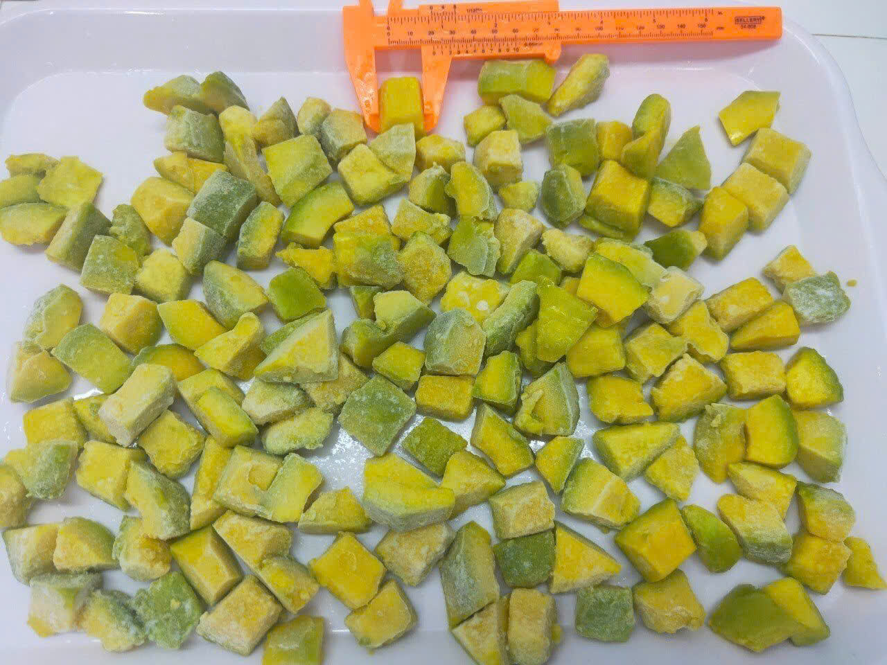 PREMIUM VIETNAMESE IQF FROZEN AVOCADO – WHOLESALE BULK SUPPLY – CUSTOM ORDERS – B2B EXPORT 4