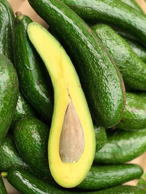 PREMIUM VIETNAMESE LONG-SHAPED AVOCADO – FRESH AVOCADO FRUIT – WHOLESALE EXPORT SUPPLY 3