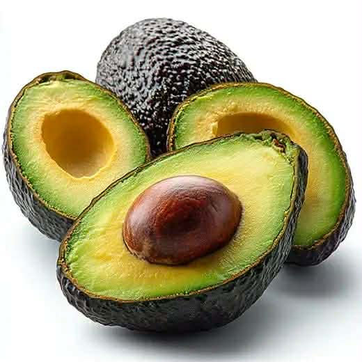 PREMIUM VIETNAMESE FRESH HASS AVOCADO – ORGANIC AVOCADO FRUIT – WHOLESALE EXPORT SUPPLY