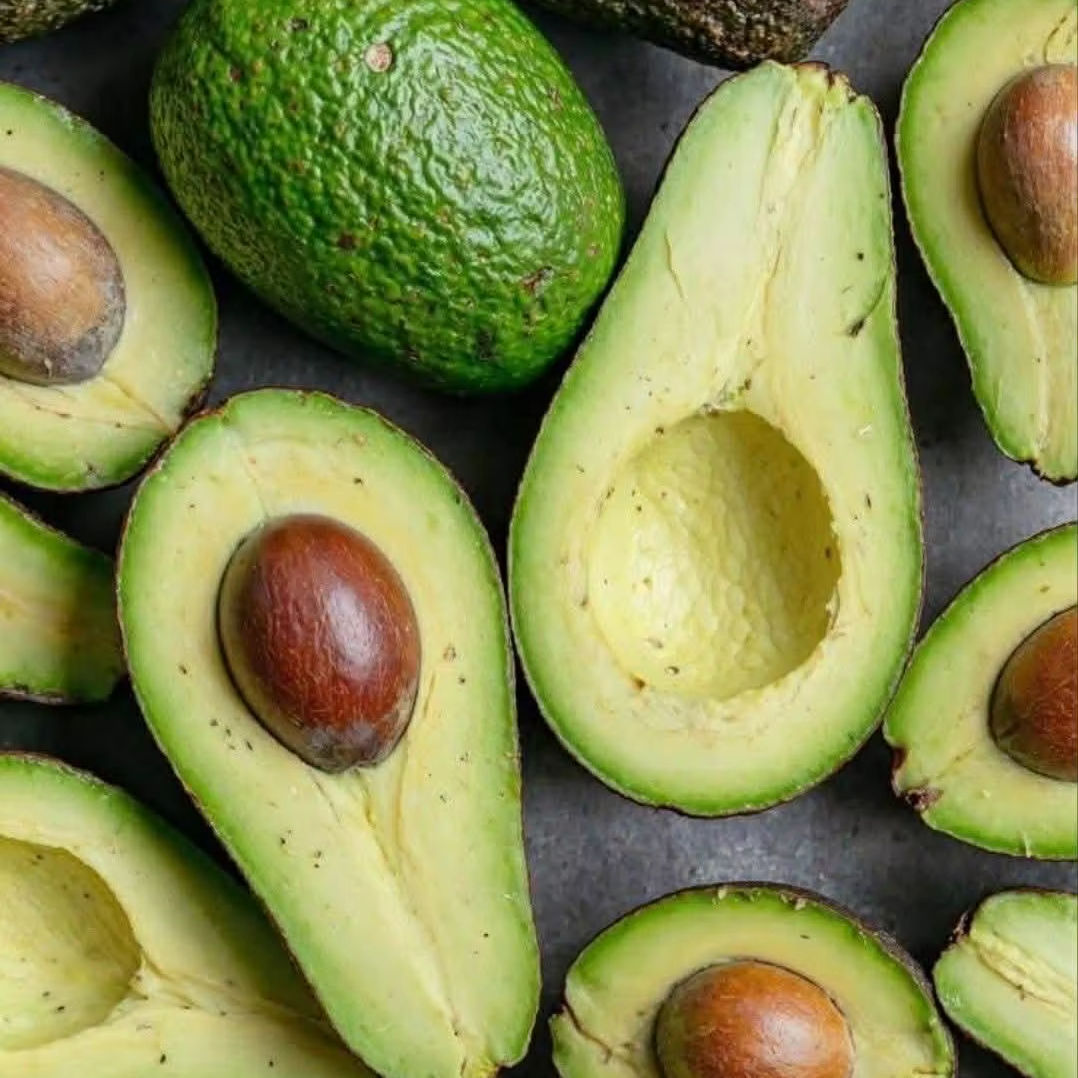PREMIUM VIETNAMESE FRESH HASS AVOCADO – ORGANIC AVOCADO FRUIT – WHOLESALE EXPORT SUPPLY 2