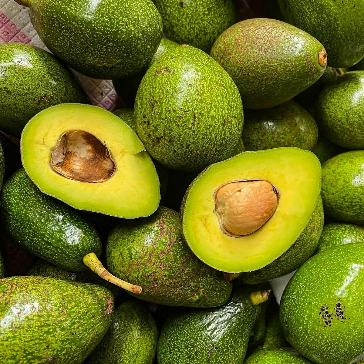 PREMIUM VIETNAMESE FRESH HASS AVOCADO – ORGANIC AVOCADO FRUIT – WHOLESALE EXPORT SUPPLY 3