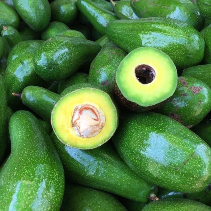 PREMIUM VIETNAMESE DAK LAK BUTTER AVOCADO – FRESH WHOLE FRUIT – WHOLESALE EXPORT SUPPLY 3