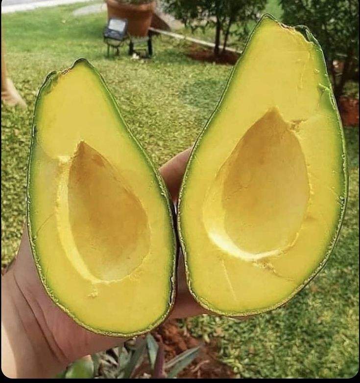 PREMIUM VIETNAMESE FROZEN AVOCADO – HIGH-QUALITY FROZEN FRUIT – COMPETITIVE WHOLESALE EXPORT SUPPLY 2
