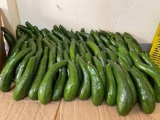 PREMIUM VIETNAMESE FROZEN AVOCADO CHUNKS – 5KG BAG – WHOLESALE EXPORT SUPPLY 4