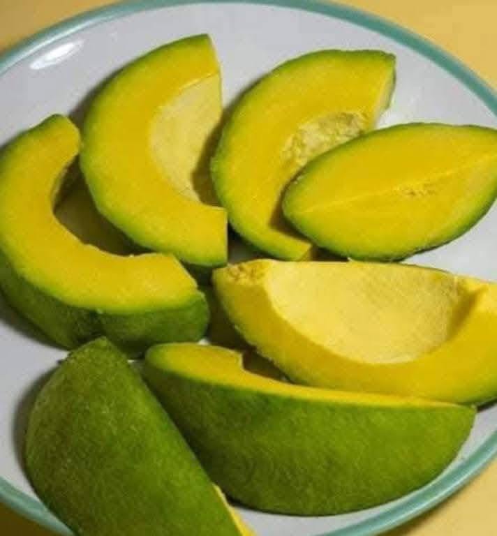 PREMIUM VIETNAMESE REED AVOCADO – FRESH FRUIT – WHOLESALE EXPORT SUPPLY
