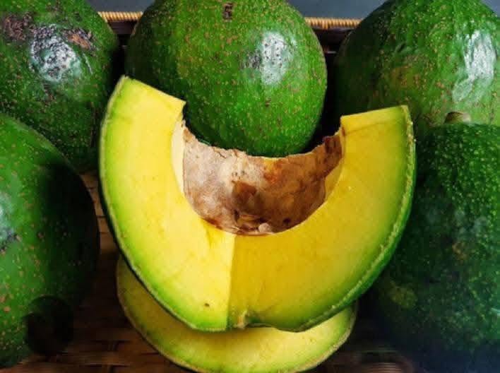 PREMIUM VIETNAMESE REED AVOCADO – FRESH FRUIT – WHOLESALE EXPORT SUPPLY 2