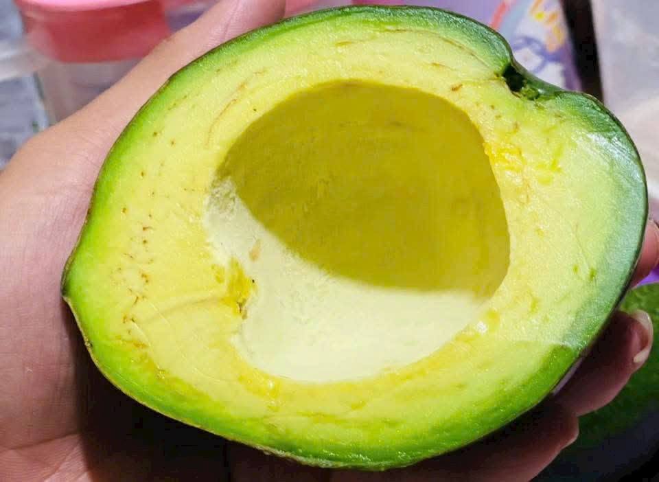 PREMIUM VIETNAMESE GIA LAI AVOCADO – FRESH FRUIT – WHOLESALE EXPORT SUPPLY 2