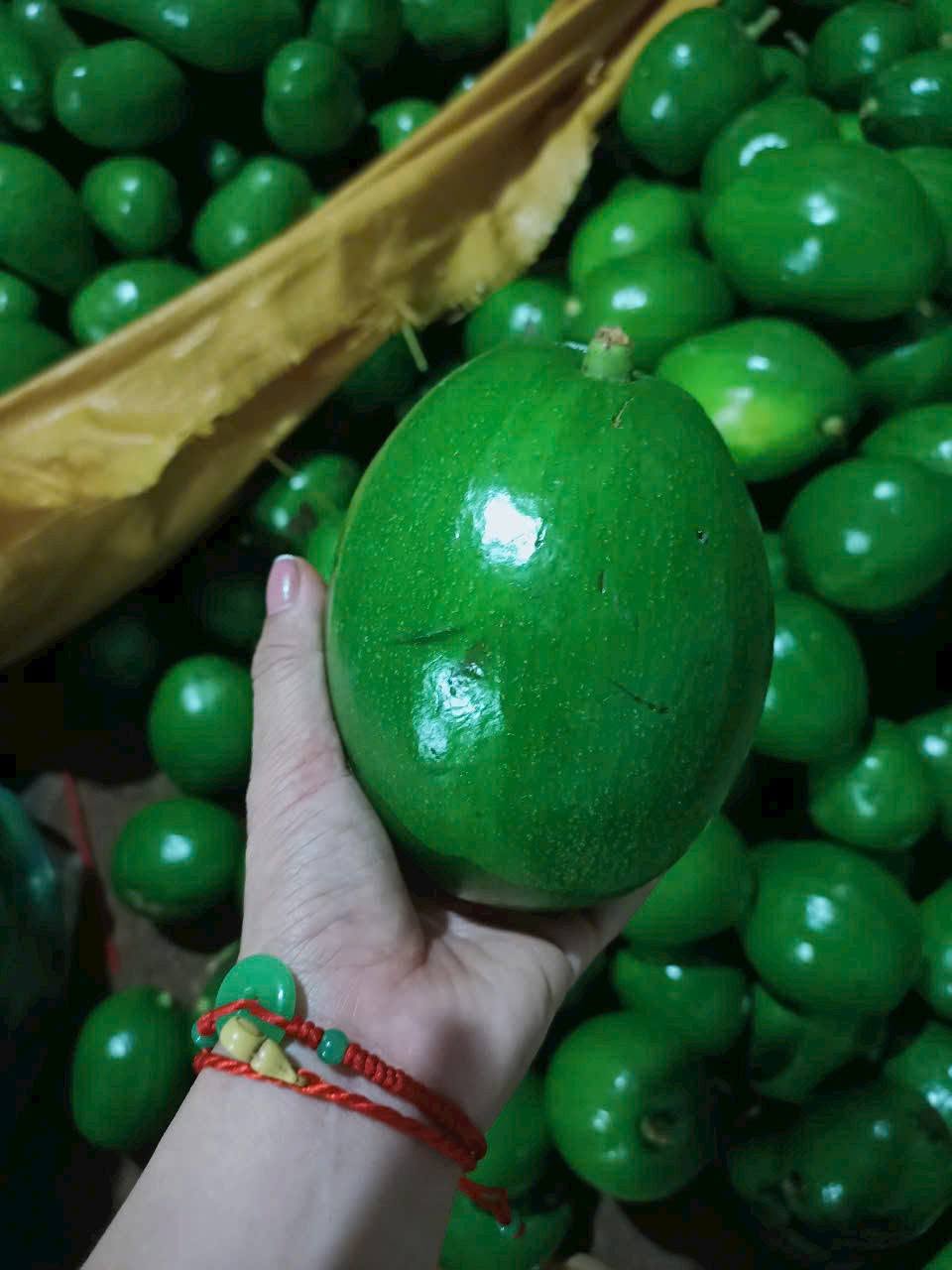 PREMIUM VIETNAMESE GIA LAI AVOCADO – FRESH FRUIT – WHOLESALE EXPORT SUPPLY 3