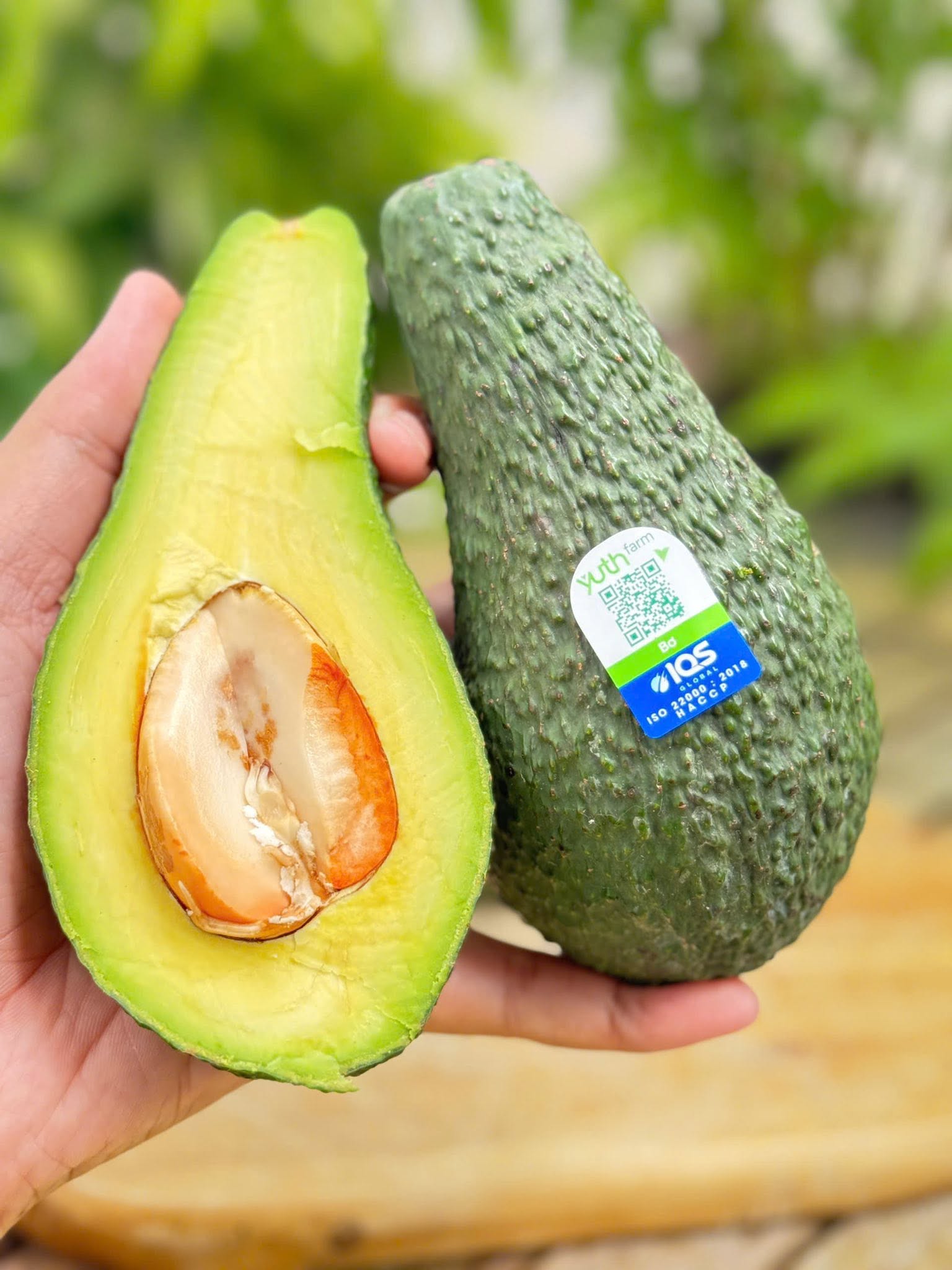 PREMIUM VIETNAMESE HASS AVOCADO – FARM-HARVESTED – UNIFORM FRUIT SIZE – WHOLESALE EXPORT SUPPLY 2