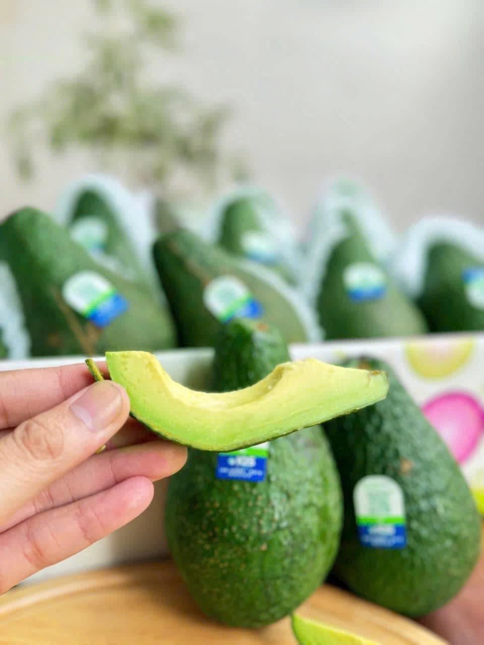 PREMIUM VIETNAMESE HASS AVOCADO – FARM-HARVESTED – UNIFORM FRUIT SIZE – WHOLESALE EXPORT SUPPLY 3