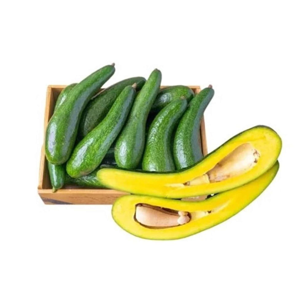 PREMIUM VIETNAMESE GWEN AVOCADO – FRESH FRUIT – WHOLESALE EXPORT SUPPLY 4