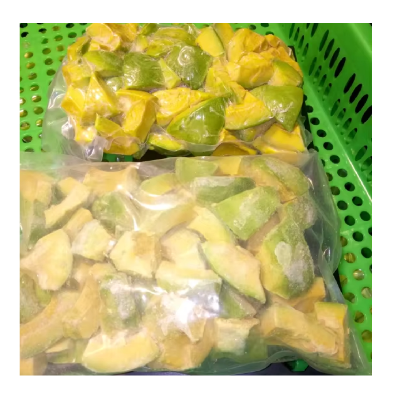PREMIUM ORGANIC VIETNAMESE DAK LAK AVOCADO – SELECTED EXPORT-GRADE FRUIT – WHOLESALE EXPORT SUPPLY 2