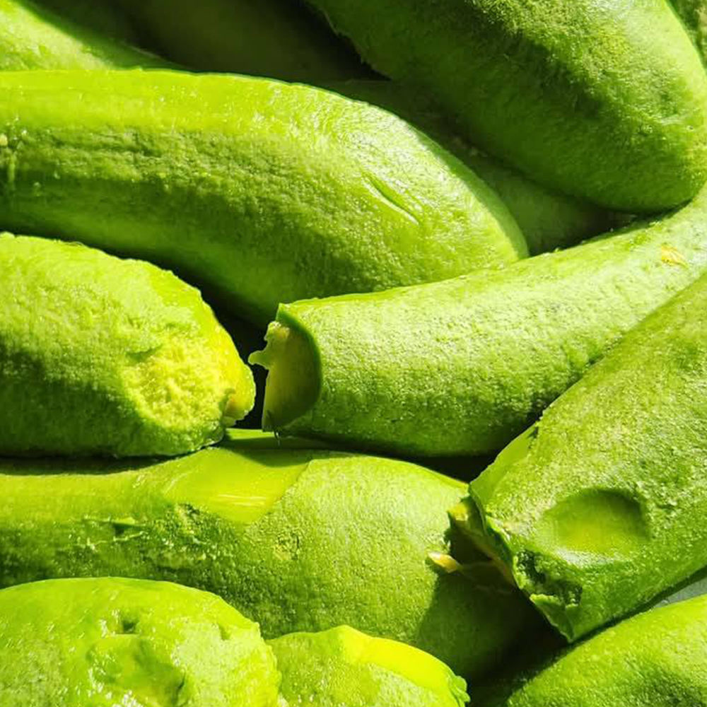 PREMIUM VIETNAMESE FROZEN AVOCADO – NATURAL FLAVOR – EXPORT-QUALITY WHOLESALE SUPPLY 4