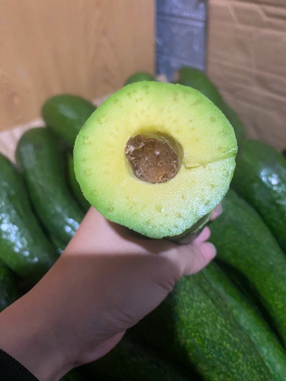 VIETNAMESE PURE IQF FROZEN AVOCADO – HALVES & PIECES – WHOLESALE EXPORT SUPPLY 2