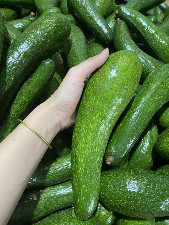 VIETNAMESE PURE IQF FROZEN AVOCADO – HALVES & PIECES – WHOLESALE EXPORT SUPPLY 4