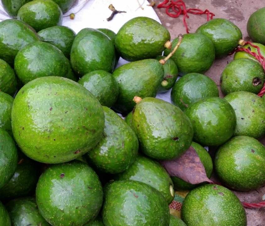 PREMIUM VIETNAMESE TROPICAL FROZEN AVOCADO – IQF DICED, HALVES & PUREE – BULK WHOLESALE EXPORT SUPPLY 3