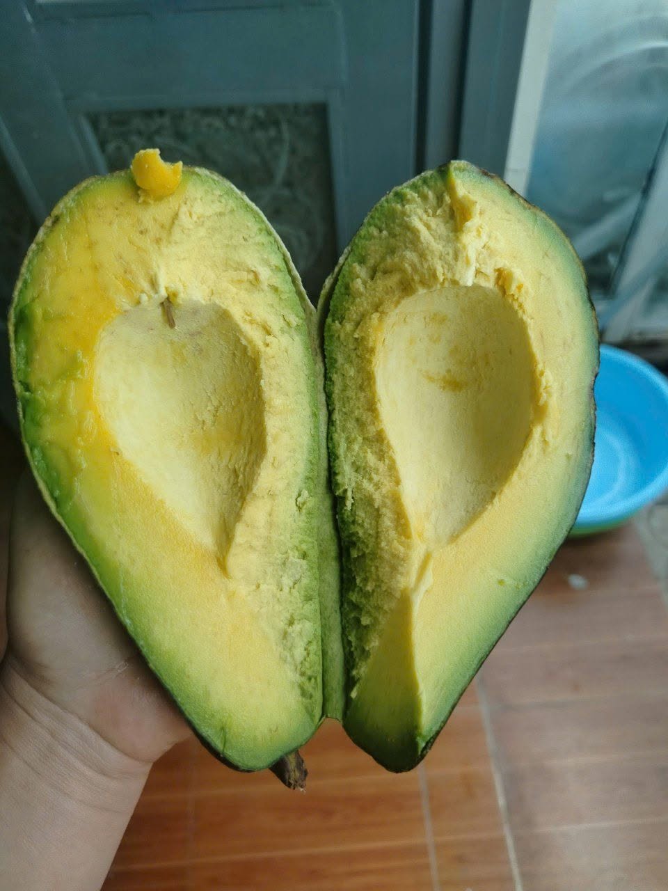 PREMIUM VIETNAMESE FRESH GREEN AVOCADO – GIA LAI ORIGIN – 350G PER FRUIT – WHOLESALE EXPORT SUPPLY 3