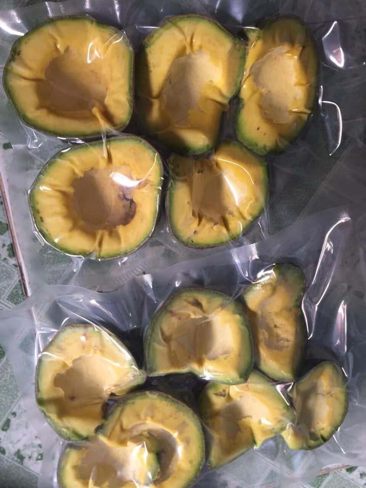 VIETNAMESE FRESH AVOCADO – COMPETITIVE WHOLESALE PRICES – BULK EXPORT SUPPLY 4