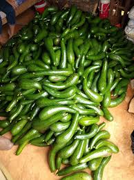 PREMIUM VIETNAMESE DA TEH AVOCADO – FRESH TROPICAL FRUIT – WHOLESALE EXPORT SUPPLY 3