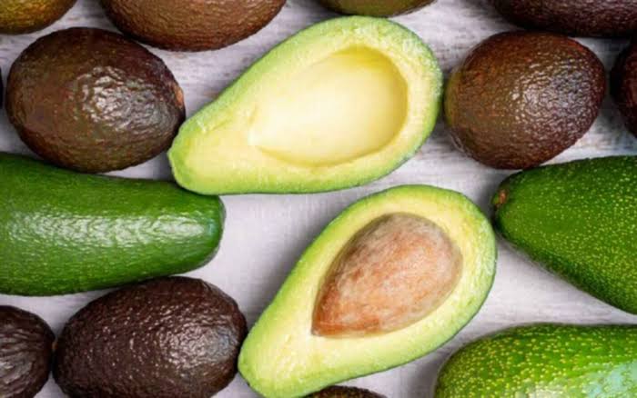 PREMIUM VIETNAMESE ZUTANO AVOCADO – FRESH GREEN TROPICAL FRUIT – WHOLESALE EXPORT SUPPLY 2