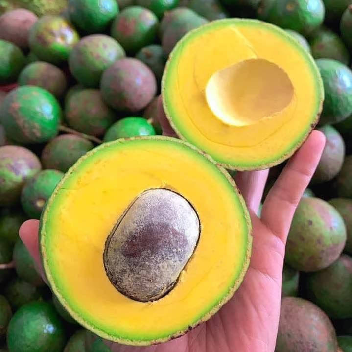 PREMIUM VIETNAMESE NATURAL FROZEN AVOCADO – NO ADDED ADDITIVES – WHOLESALE EXPORT SUPPLY 3