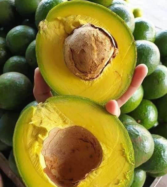 PREMIUM VIETNAMESE NATURAL FROZEN AVOCADO – NO ADDED ADDITIVES – WHOLESALE EXPORT SUPPLY 4