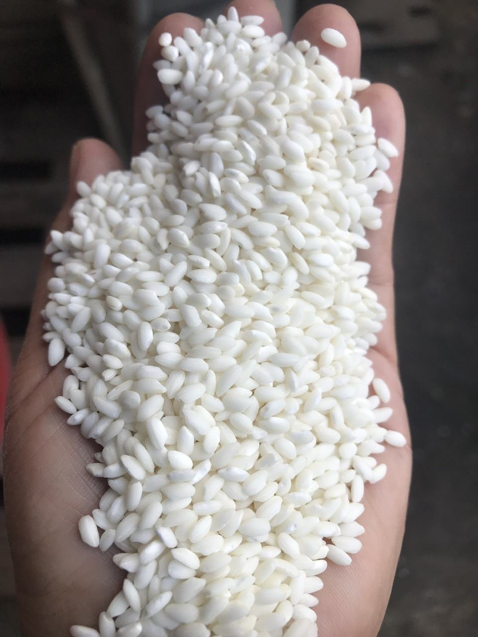 PREMIUM VIETNAMESE SHORT-GRAIN WHITE RICE & DRIED GLUTINOUS RICE – WHOLESALE EXPORT SUPPLY 3
