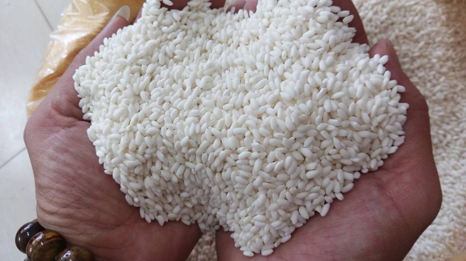 PREMIUM VIETNAMESE HOA VANG GLUTINOUS RICE – 100% STICKY TEXTURE – WHOLESALE EXPORT SUPPLY 3