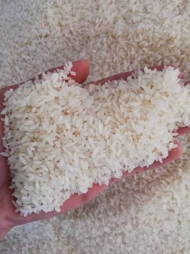 VIETNAMESE RICE FLOUR SHRIMP CRACKERS – BULK OEM MANUFACTURING – WHOLESALE EXPORT SUPPLY 3