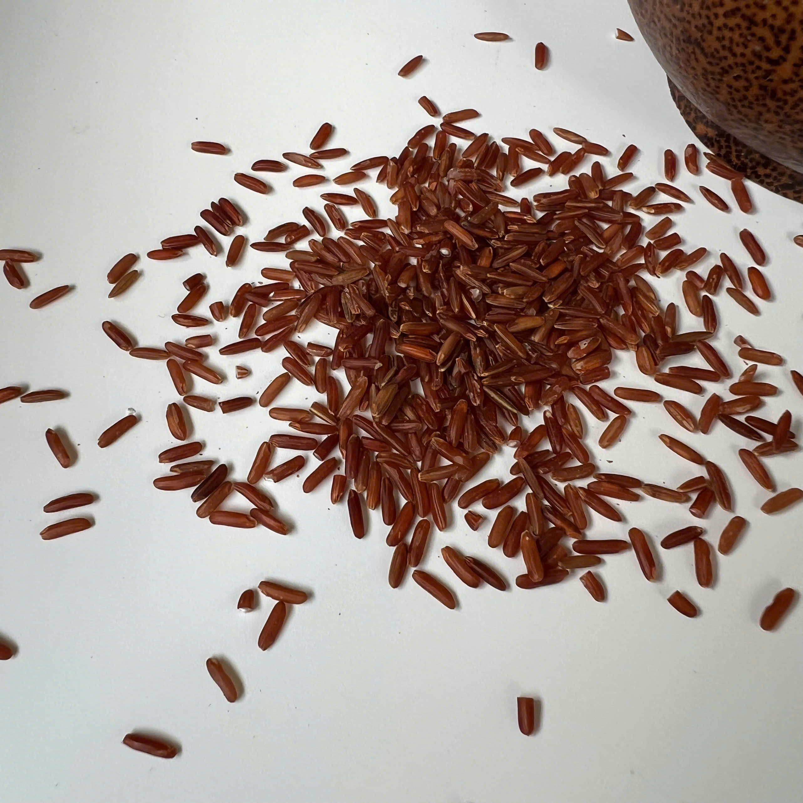 PREMIUM VIETNAMESE LONG-GRAIN RED RICE – NEW CROP, FRESH SUPPLY, COMPETITIVE WHOLESALE EXPORT PRICES 3