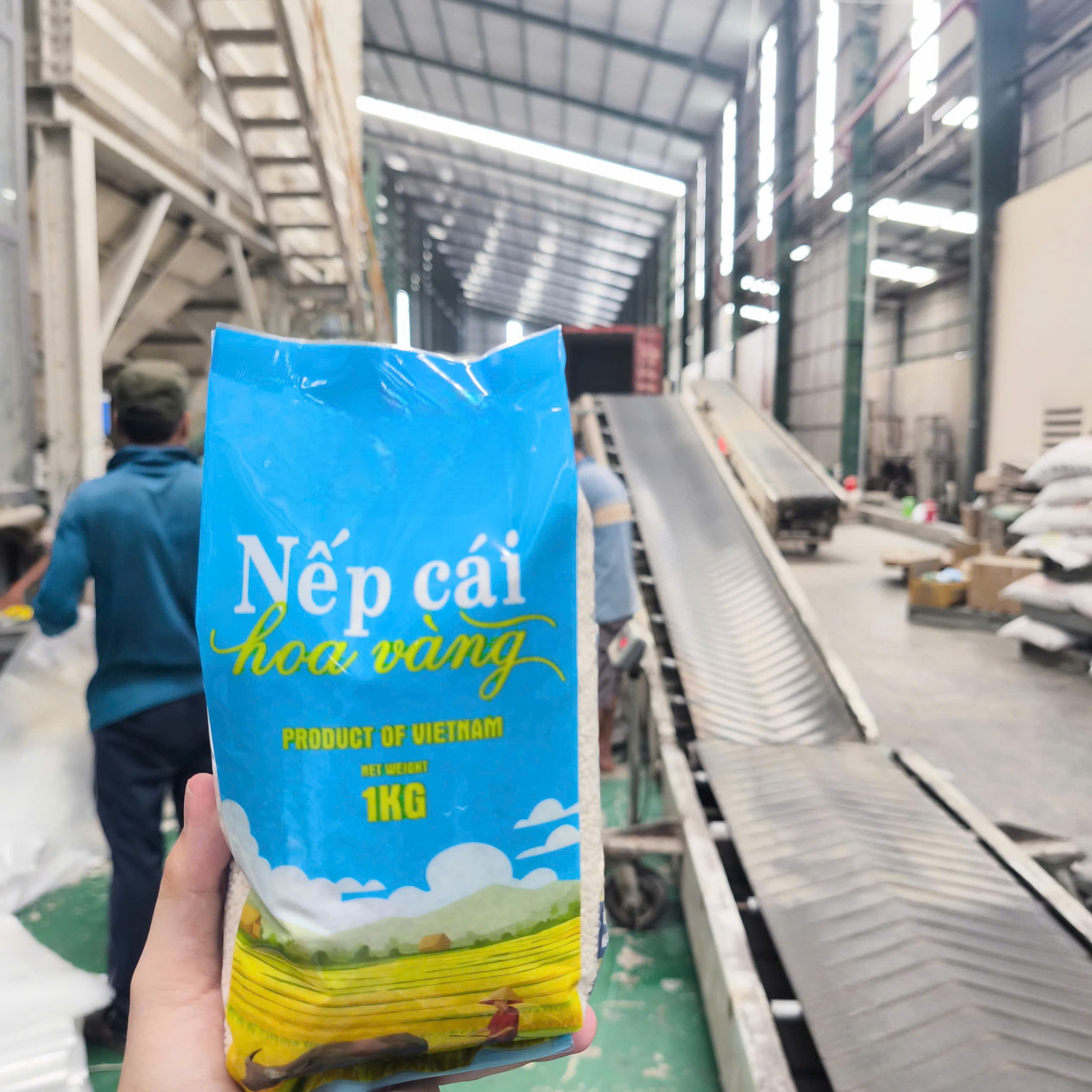 PREMIUM VIETNAMESE GLUTINOUS RICE – WHOLESALE EXPORT SUPPLY, OEM/ODM, FACTORY DIRECT, 1KG, 2KG, 5KG AND 25KG 4