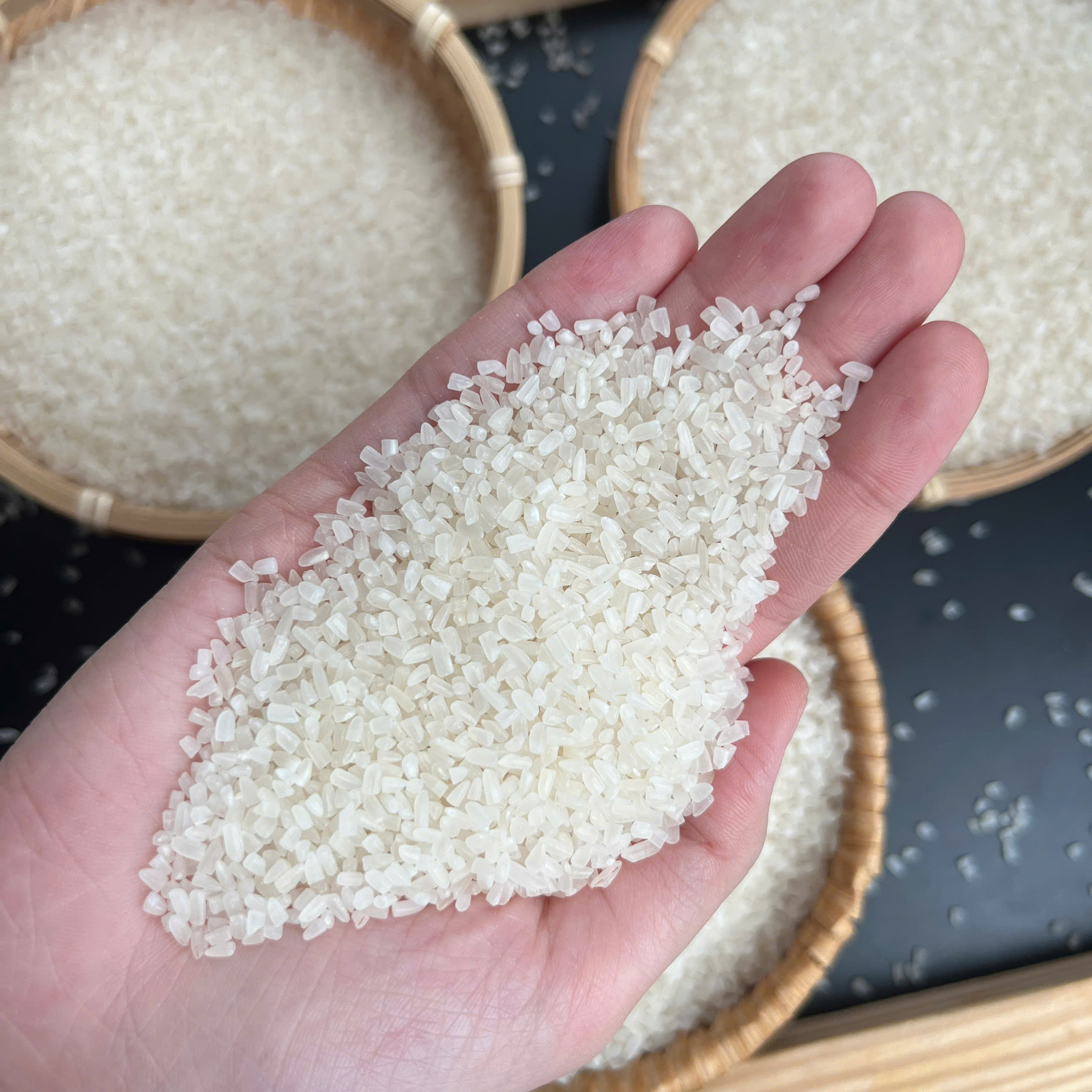 PREMIUM VIETNAMESE 100% WHITE BROKEN RICE – HIGH-QUALITY RAW MATERIAL FOR RICE FLOUR PRODUCTION, WHOLESALE EXPORT SUPPLY 4