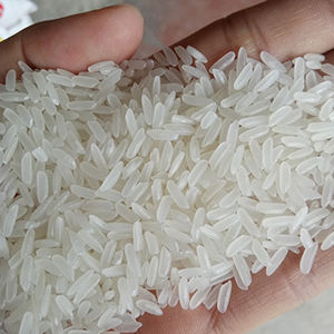 VIETNAMESE DT8 WHITE RICE – 5%–15% BROKEN GRAINS, CUSTOM PACKAGING, WHOLESALE EXPORT SUPPLY 2