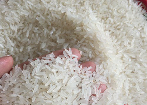 VIETNAMESE DT8 WHITE RICE – 5%–15% BROKEN GRAINS, CUSTOM PACKAGING, WHOLESALE EXPORT SUPPLY 3