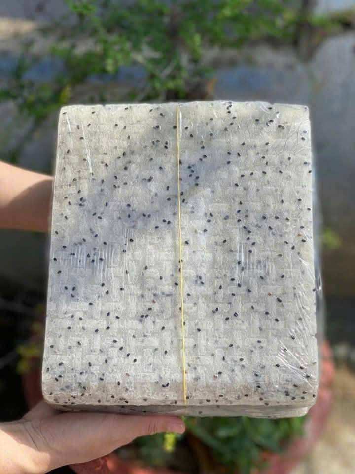 TRADITIONAL VIETNAMESE BLACK SESAME RICE PAPER – SPRING ROLL WRAPPERS FOR WHOLESALE EXPORT SUPPLY 4