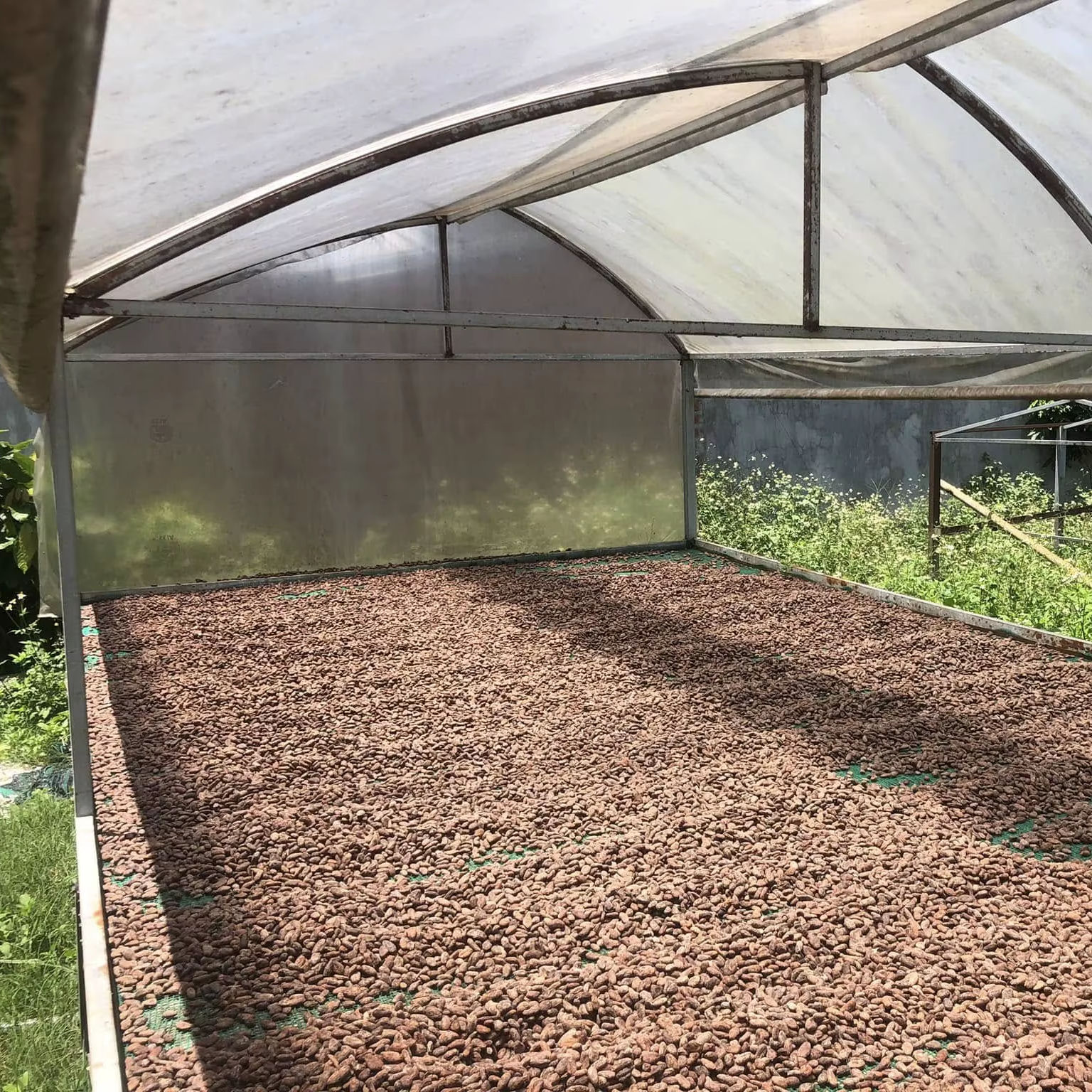 VIETNAMESE ROASTED COCOA BEANS – PREMIUM CHOCOLATE-MAKING INGREDIENT FOR WHOLESALE EXPORT SUPPLY