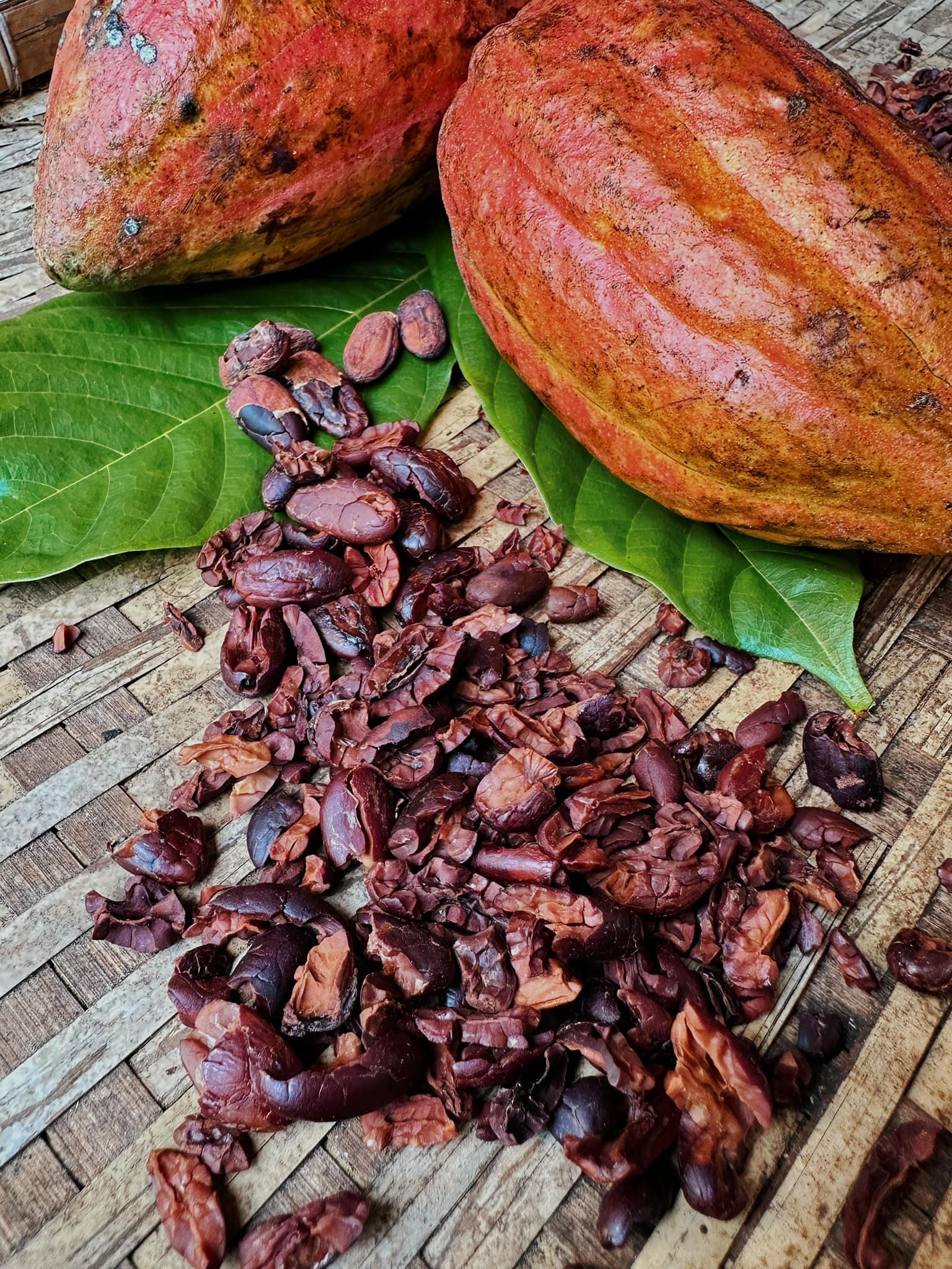 VIETNAMESE ROASTED COCOA BEANS – PREMIUM CHOCOLATE-MAKING INGREDIENT FOR WHOLESALE EXPORT SUPPLY 4