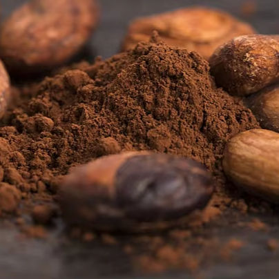 VIETNAMESE RAW COCOA POWDER – 100% COCOA, 25KG BULK BAG, RICH COCOA FLAVOR FOR WHOLESALE EXPORT