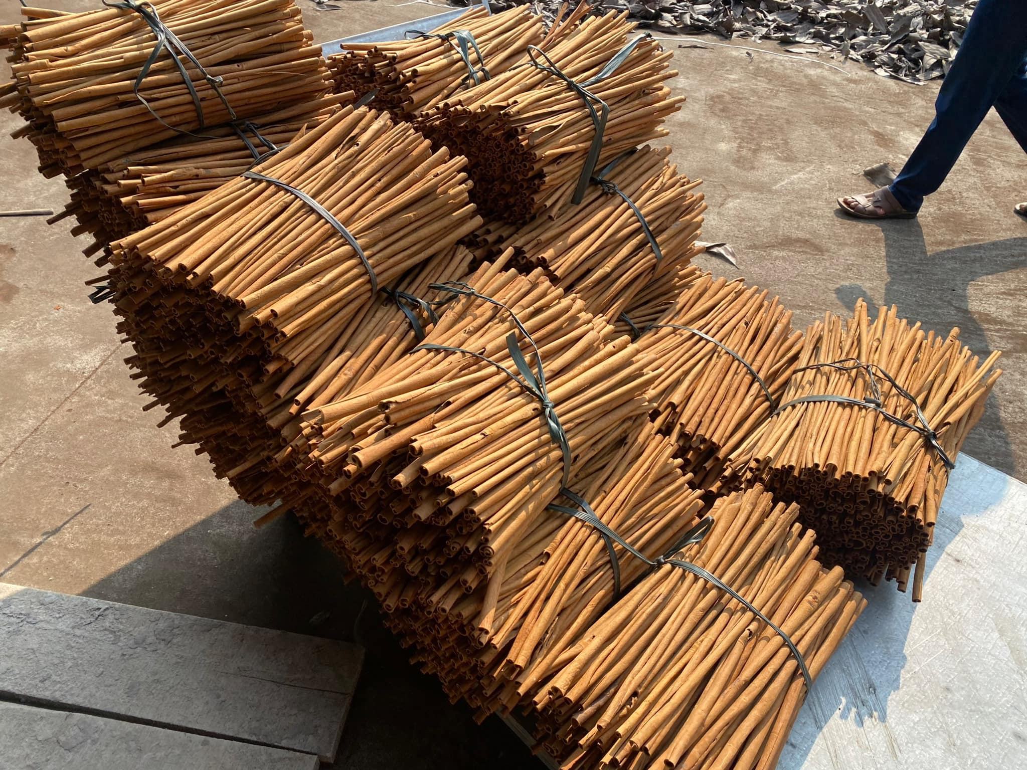 VIETNAMESE CASSIA CINNAMON STICKS – PREMIUM DRIED SPICE IN BULK, WHOLESALE EXPORT SUPPLY 3
