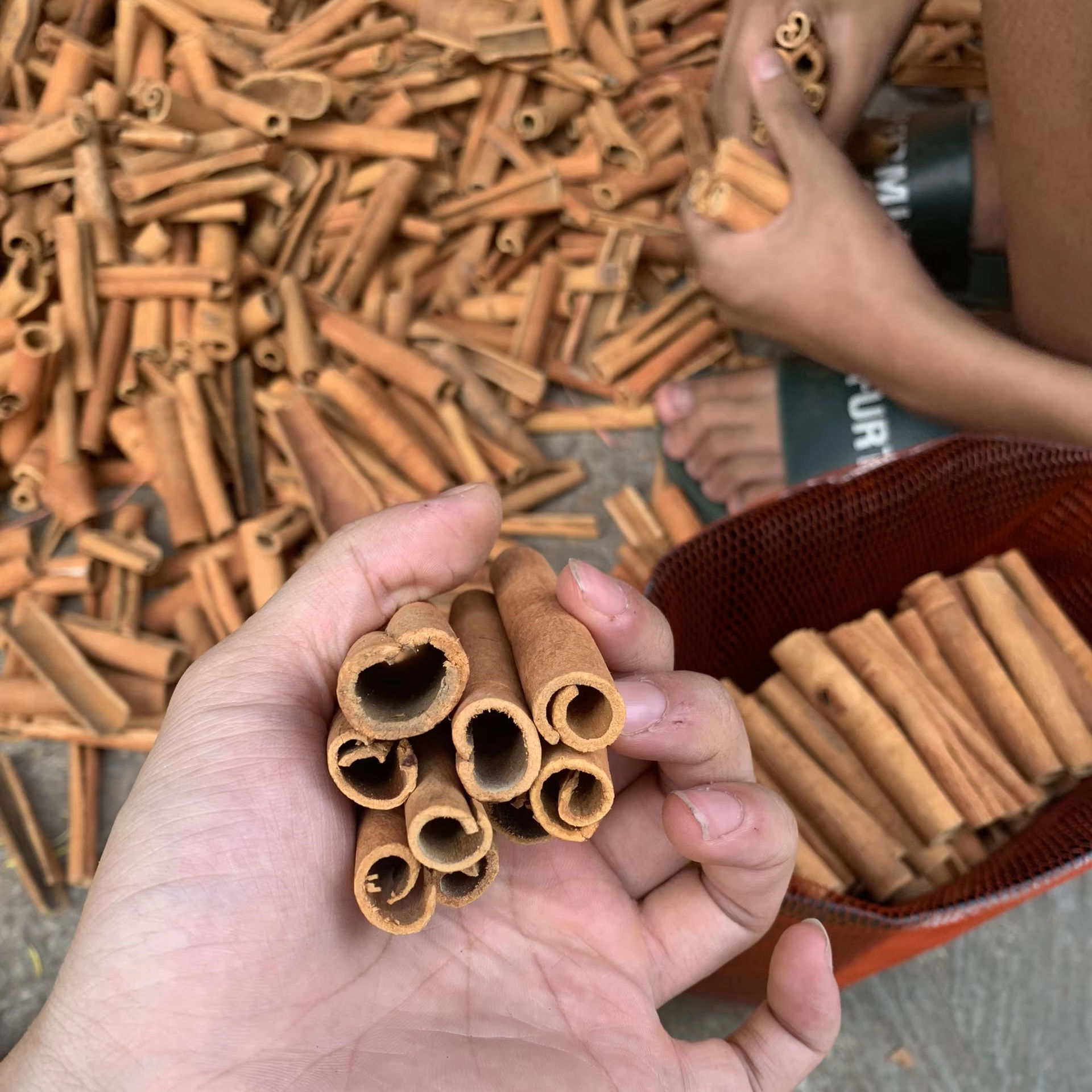 PREMIUM VIETNAMESE CASSIA CINNAMON STICKS – AA+ GRADE DRIED SPICE FOR HERBAL AND SEASONING INGREDIENTS, WHOLESALE EXPORT SUPPLY 2