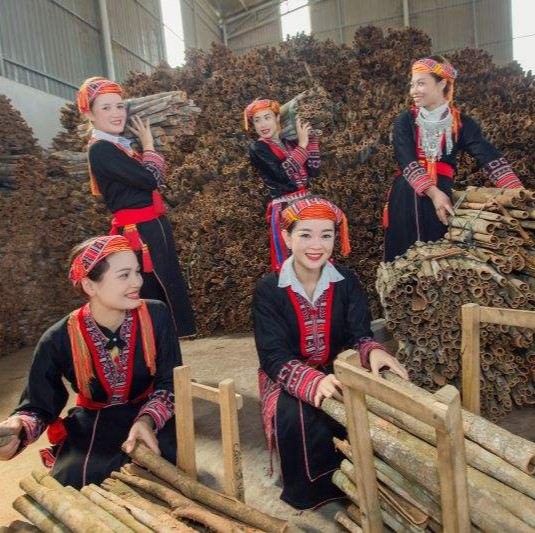 PREMIUM VIETNAMESE WHOLE CASSIA CINNAMON STICKS – COMPETITIVE WHOLESALE PRICES FOR IMPORTERS 4