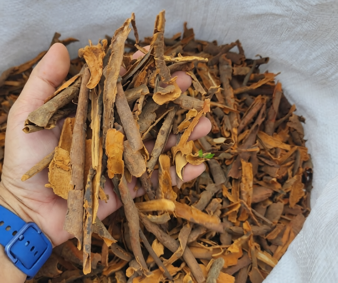 VIETNAMESE PURE CASSIA CINNAMON CUTS – WHOLESALE SUPPLY FOR TEA, SPICES & FOOD POWDER MANUFACTURING 2